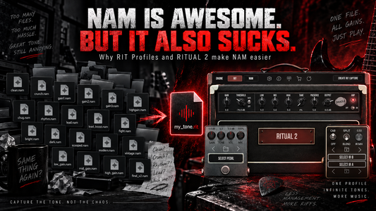 NAM Is Awesome. But It Also Sucks.